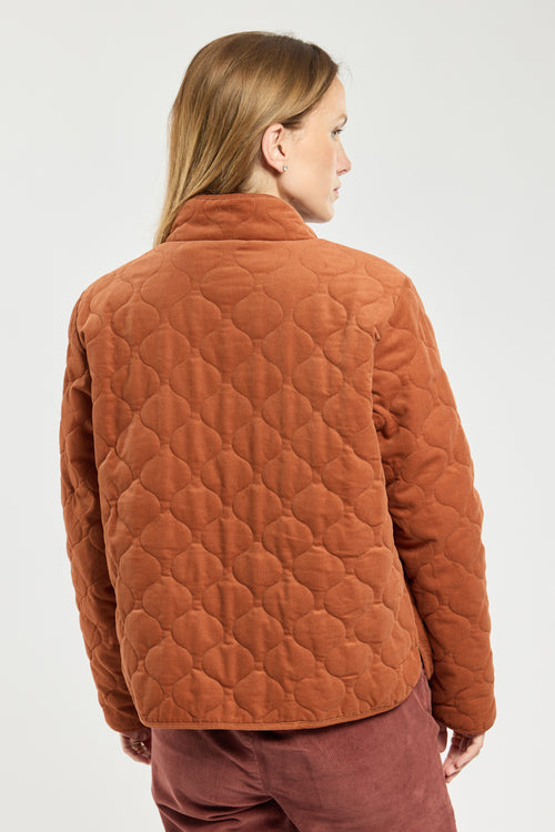 Veste velours BHOPAL - Bermudes - 5